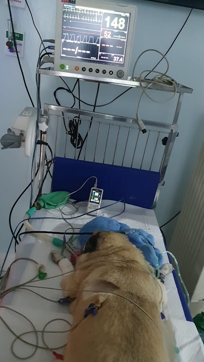 Fachada do Hospital do Animal na Rua Ceará, em Uberlândia