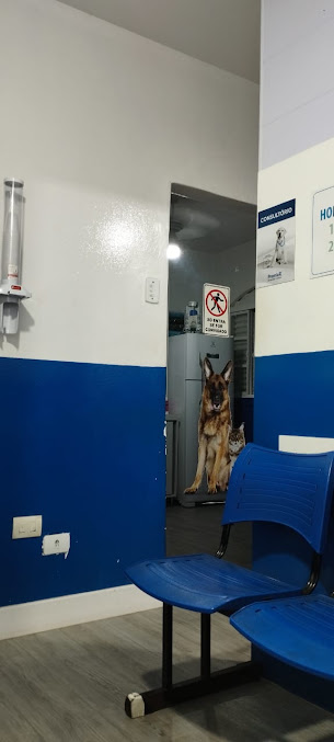 Estrutura hospitalar interna