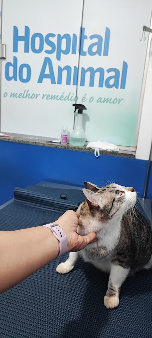 Consultório veterinário do Hospital do Animal