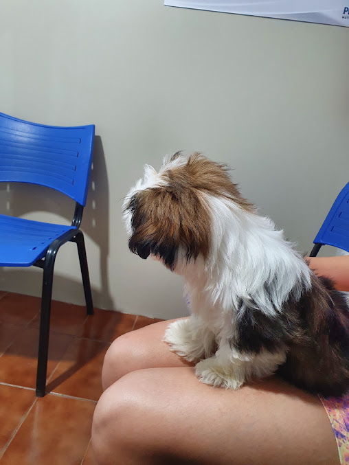 Paciente sendo cuidado na clínica