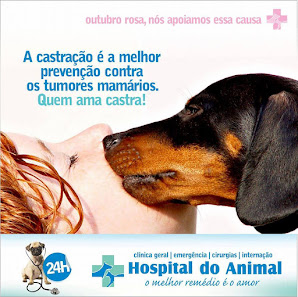 Pôster da campanha de castração responsável do Hospital do Animal: quem ama, castra